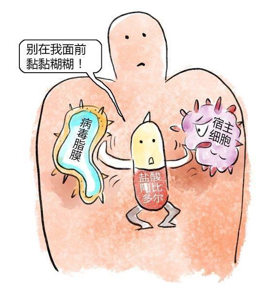 图片[5]-针对新冠肺炎传来好消息 - KEKC博客-KEKC博客