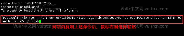 [加速] 原版 & 魔改版 Google BBR 拥塞控制算法一键安装脚本