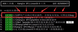 Kangle EP漏洞:泛域名绑定漏洞-KEKC博客