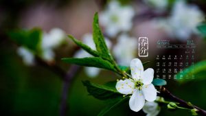 今日春分：一切美好终将到来 - KEKC博客-KEKC博客