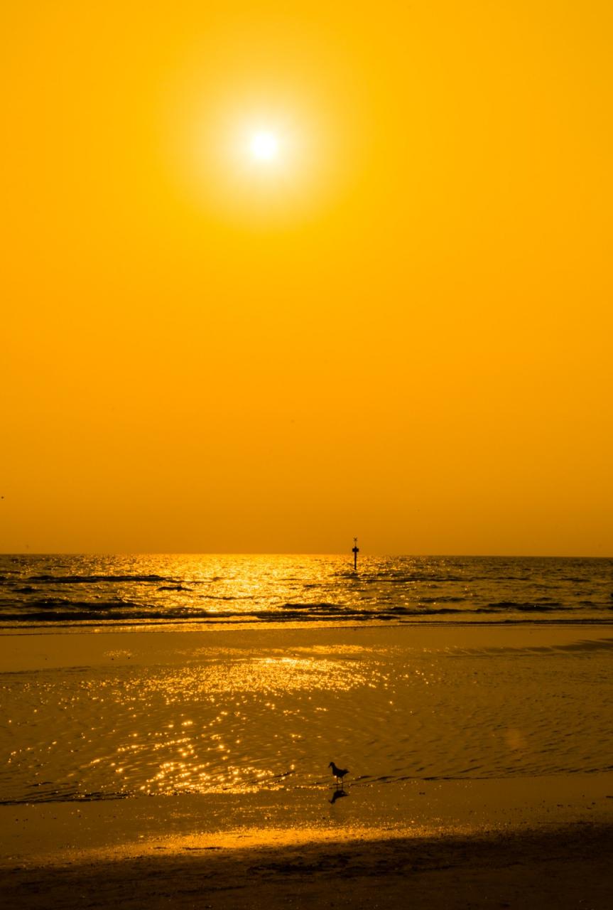  海阔云红带夕阳 大海 夕阳 美图 第5张