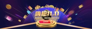 【活动，未测评】华纳云双十一钜惠，香港/美国云服务器低至3.5折，爆款独享服务器低至4折 - KEKC博客-KEKC博客